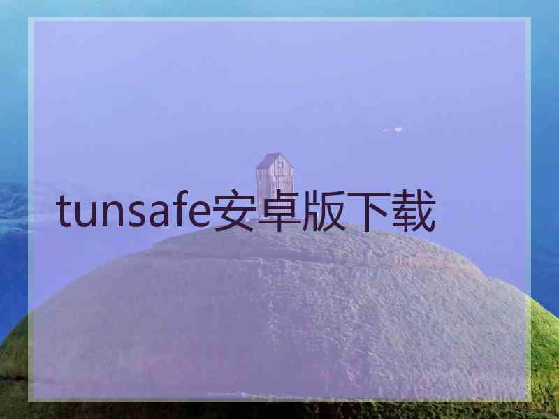 tunsafe安卓版下载